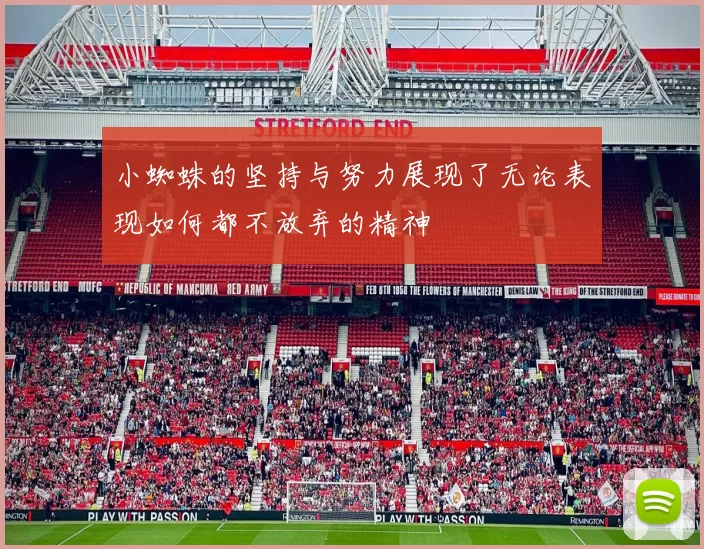 小蜘蛛的坚持与努力展现了无论表现如何都不放弃的精神